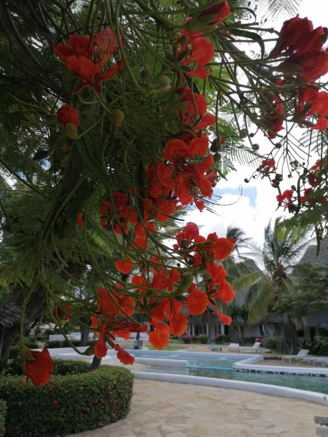 Coral Key Villa Malindi Esterno foto